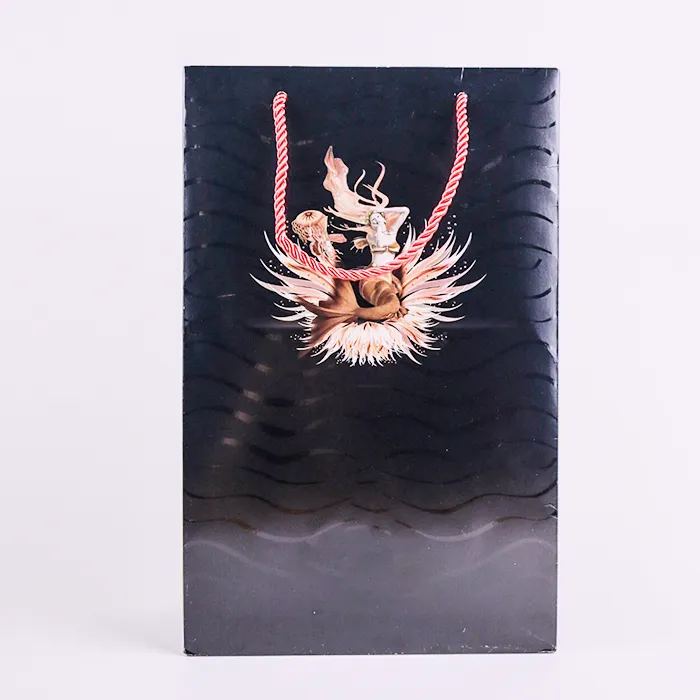 Сәнге арналған сөмке